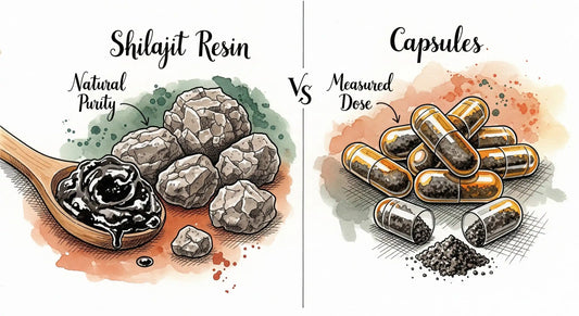 Shilajit Resin vs. Capsules: Which One Is Right for You?