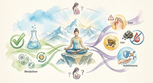 Who Should Avoid Shilajit? Safety, Side Effects, and the Science of High-Altitude Resin